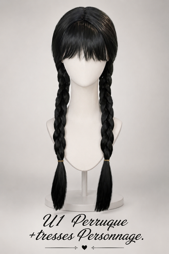 [U1] Perruque avec tresse personnage