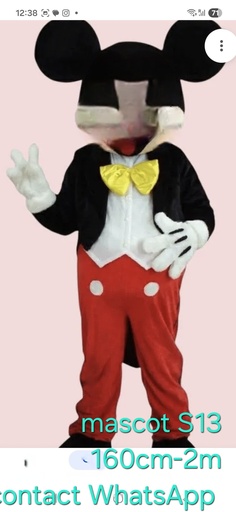[S13] Mascotte personnage