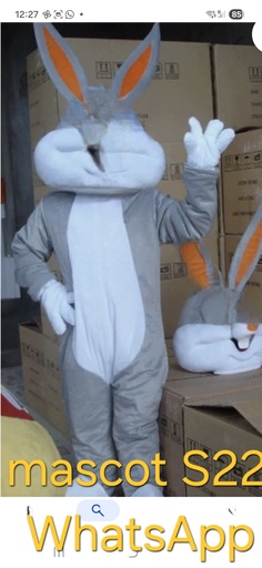[S22] Mascotte personnage