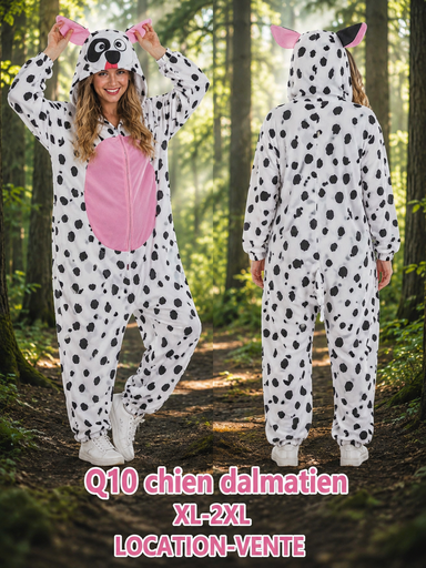 Chien dalmatien adulte