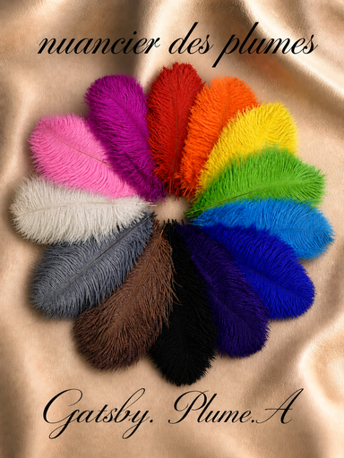 Gatsby accessor
